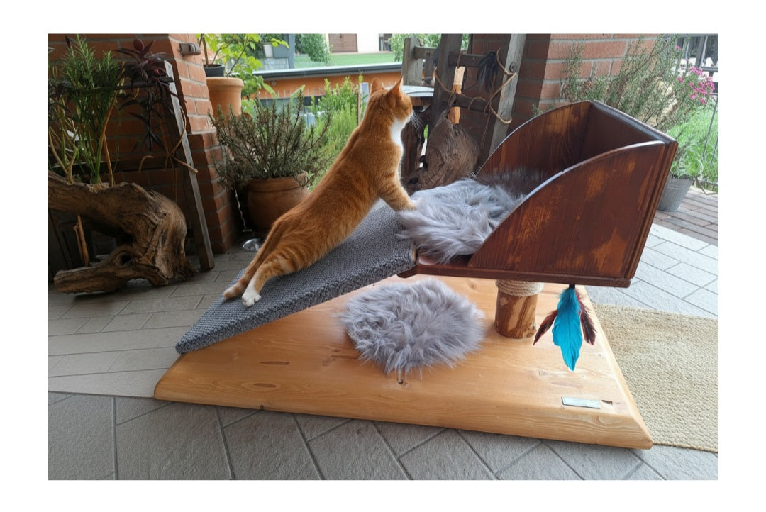WONDERCAT