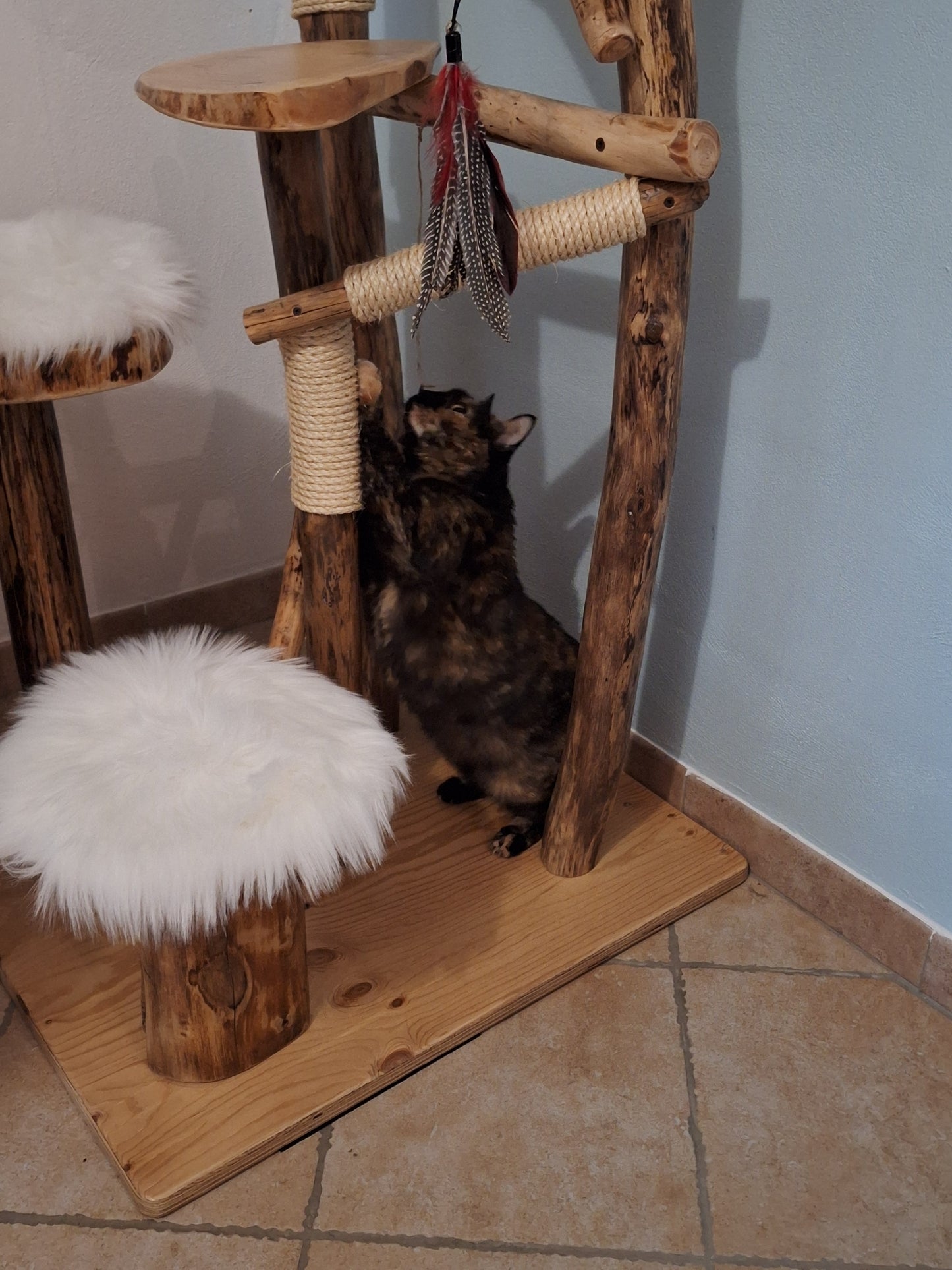 Feline Paradise