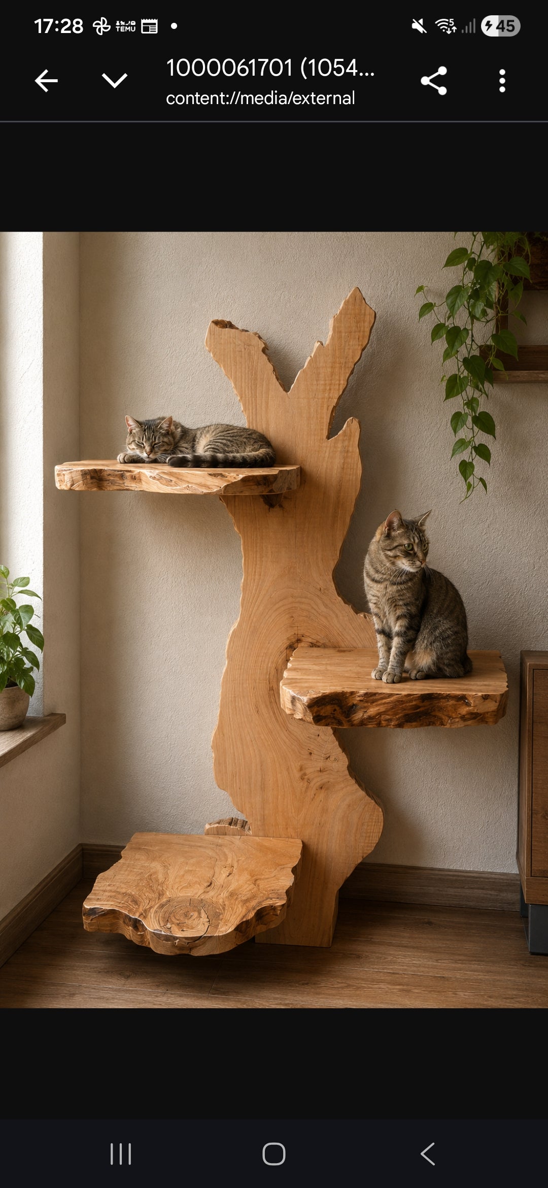 ForestCat Wall