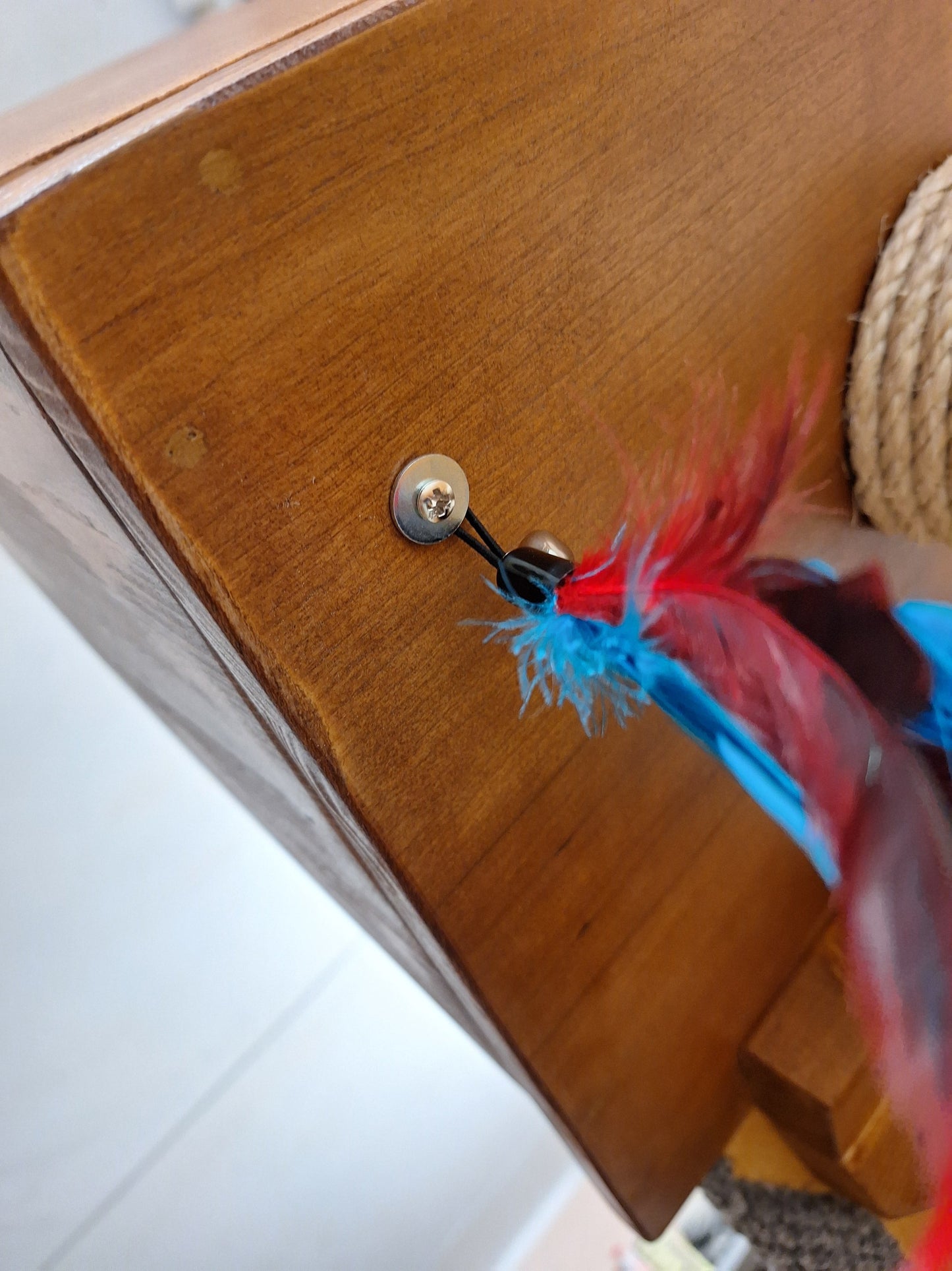 LUMOS – Tiragraffi per gatti speciali