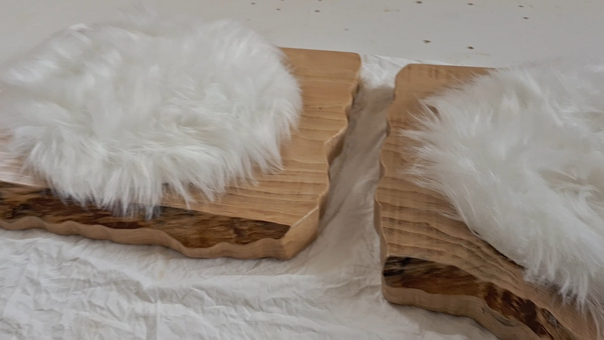 ForestCat Wall